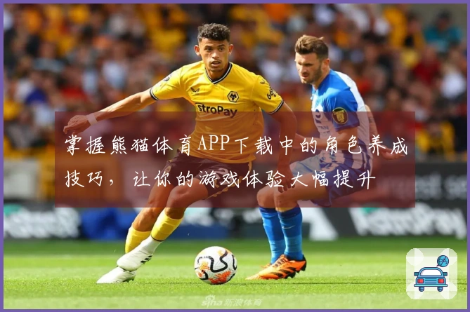 掌握熊猫体育APP下载中的角色养成技巧，让你的游戏体验大幅提升